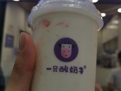 -一只酸奶牛(八一路店)