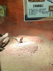 -酷嗒动物文化乐园(cutezoo西溪乐天城店)