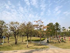 -海珠儿童公园