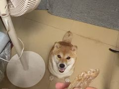 -张记卤菜店(三条巷店)