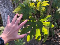 -白塘生态植物园