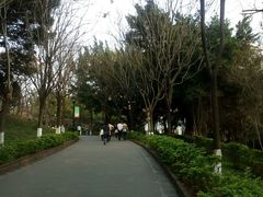 -长安公园