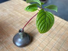 -云座·时光·观景咖啡厅(五爷庙店)