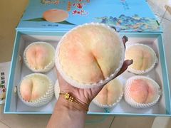 -老袁家蜜桃农场·阳山水蜜桃