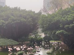 -九龙公园