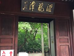 -汇龙潭