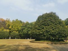 -灵谷景区
