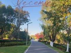 -昆山城市生态森林公园