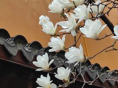 -龙华寺