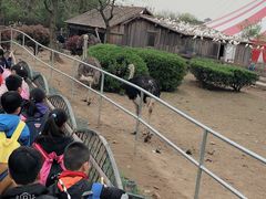 -无锡动物园·太湖欢乐园