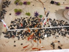 -河南食府(人民路店)