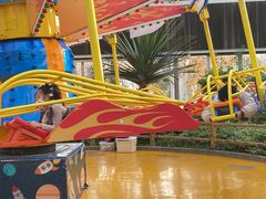 -南宫五洲植物乐园