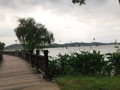 -长广溪湿地公园