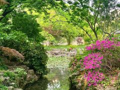 -上海醉白池公园