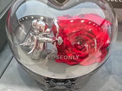 -ROSEONLY诺誓(广州K11店)