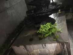 -新盈光·旗舰店(海曙苍松路店)
