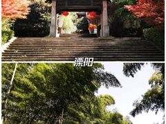 -婺源风景区