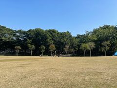 -东莞植物园