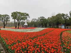 -大宁公园