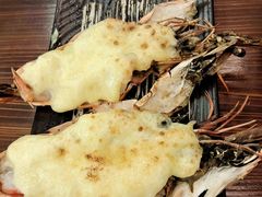-木村家料理•燒鳥•寿喜烧