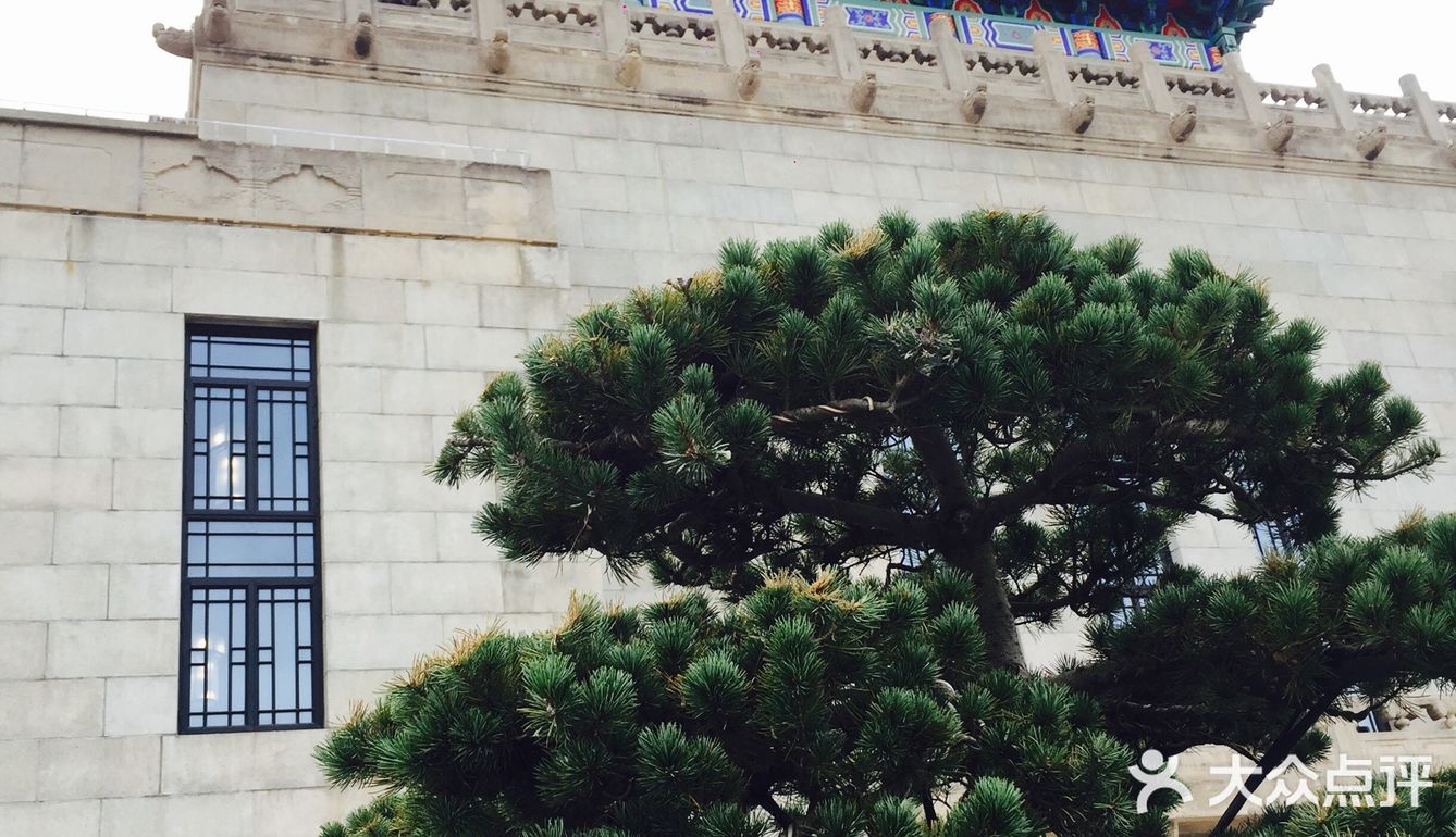 上海网红图书馆杨浦区日游攻略