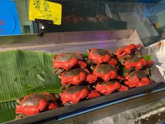 -辉记炭烧海鲜大排档·老字号(福田店)
