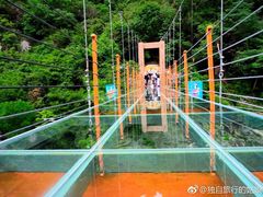 -燕子河大峡谷天坑仙境