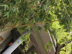 -成都川菜博物馆