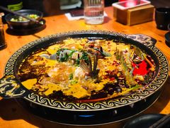 -三道苗苗鱼·美蛙黄辣丁(八里店)