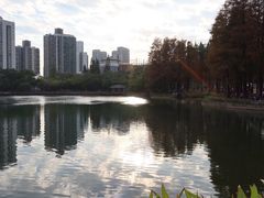 -四海公园(南山区)