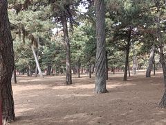 -北陵公园