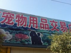 -山东柏宁水族批发广场