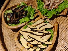 -滇野云南野生菌餐厅(陕西南路店)