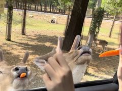 -秦皇岛野生动物园