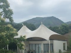 -帐篷客·溪龙茶谷度假酒店