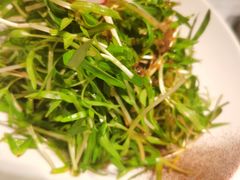 -凤凰湘语(浦东旗舰店)