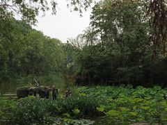 -新江湾城公园