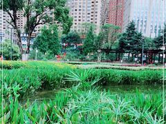 -花果园湿地公园