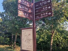 -北京西山国家森林公园