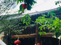 -尽善百年古院餐厅(王家老宅店)