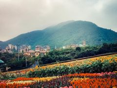 -东部华侨城