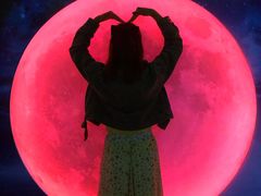 -天津梵高星空艺术馆(天河城旗舰店)