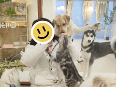 -共舞时光猫咖·狗咖(新街口店)