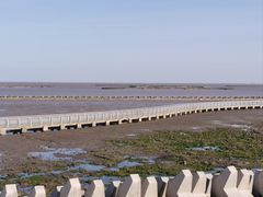 -春花秋色城市公园