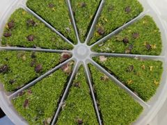 -蟹天蟹地农家菜·阳澄湖大闸蟹(浅水湾店)