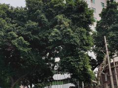 -广州市红十字会医院(总院)