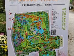 -上海共青森林公园