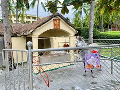 -三亚亚龙湾天域度假酒店