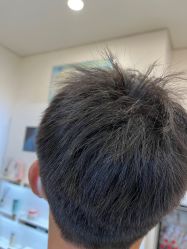 -YESIDO椰岛造型