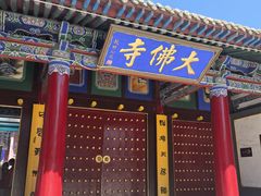 -张掖大佛寺景区